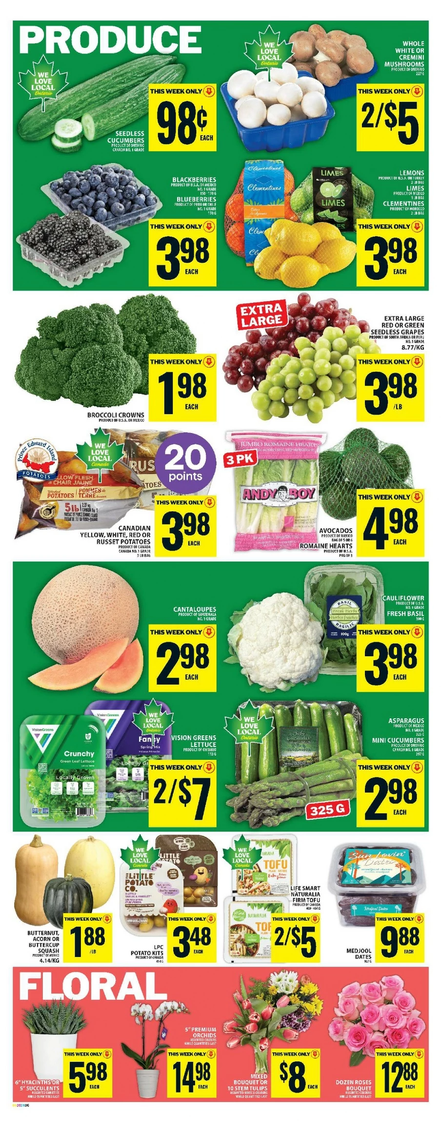 food basics flyer march 13 19 9