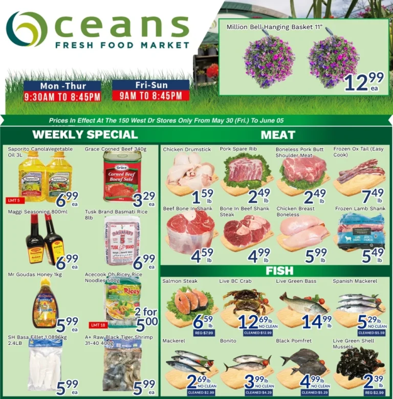 oceans flyer