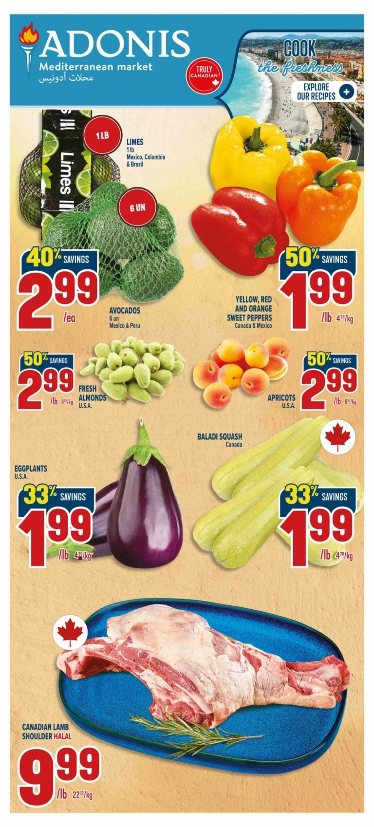 adonis flyer