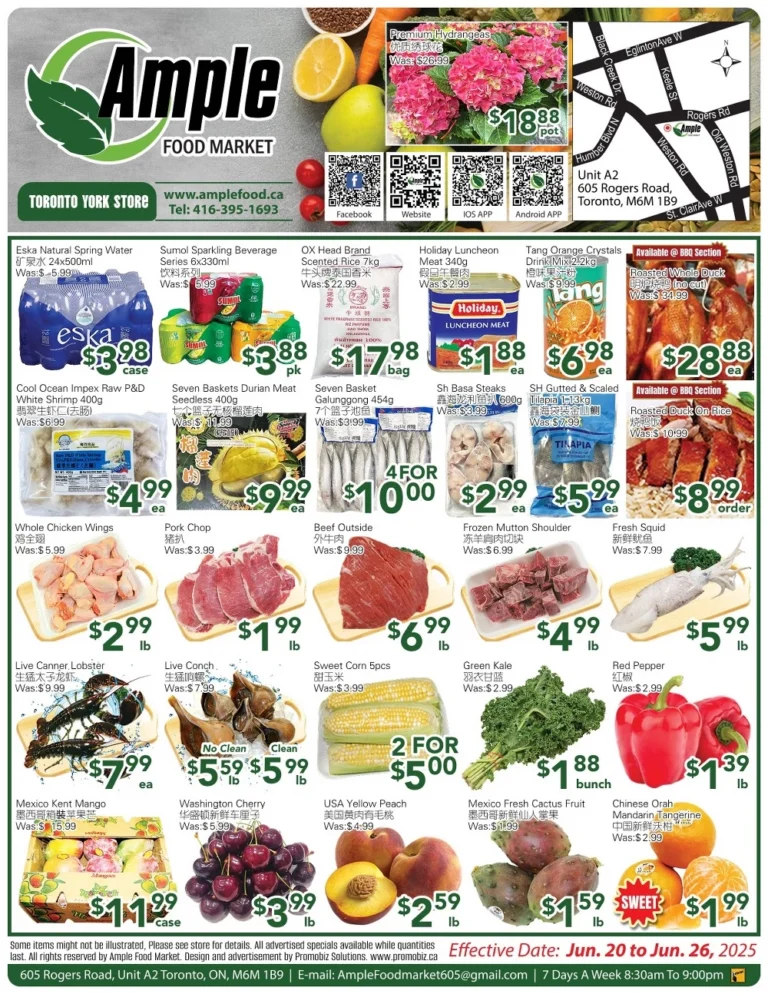 ample food market flyer