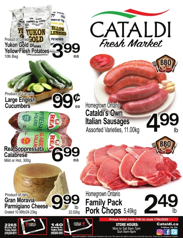 cataldi flyer