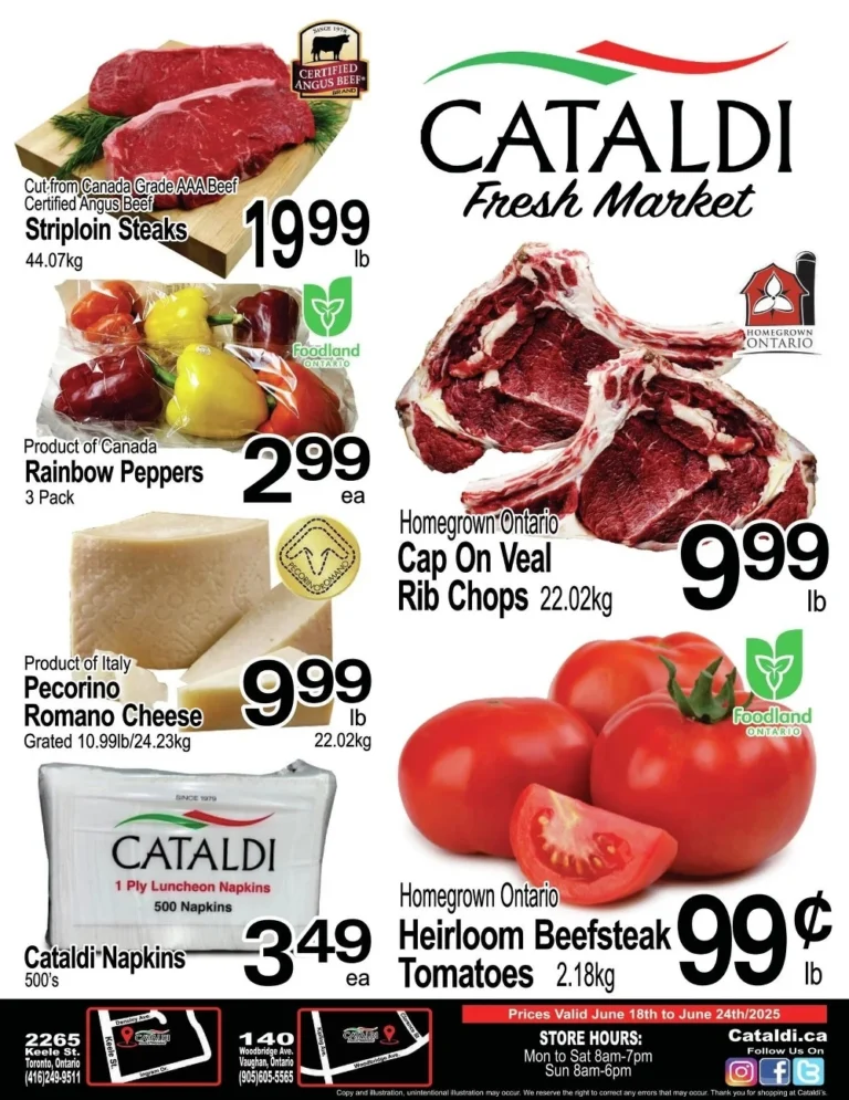 cataldi flyer