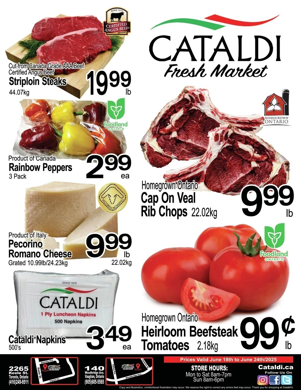 cataldi flyer 
