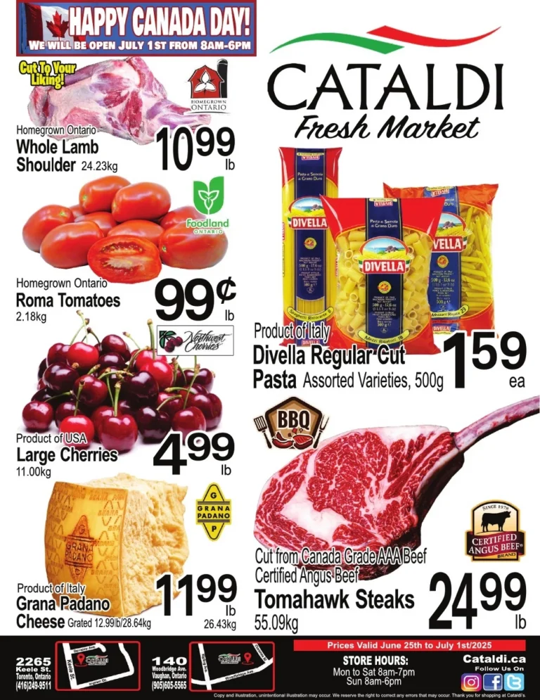 cataldi flyer