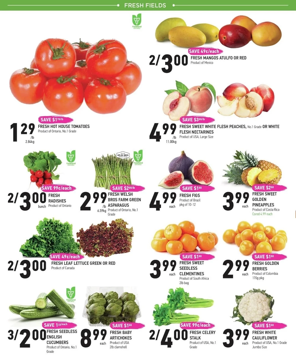 coppas flyer june 16 22 2