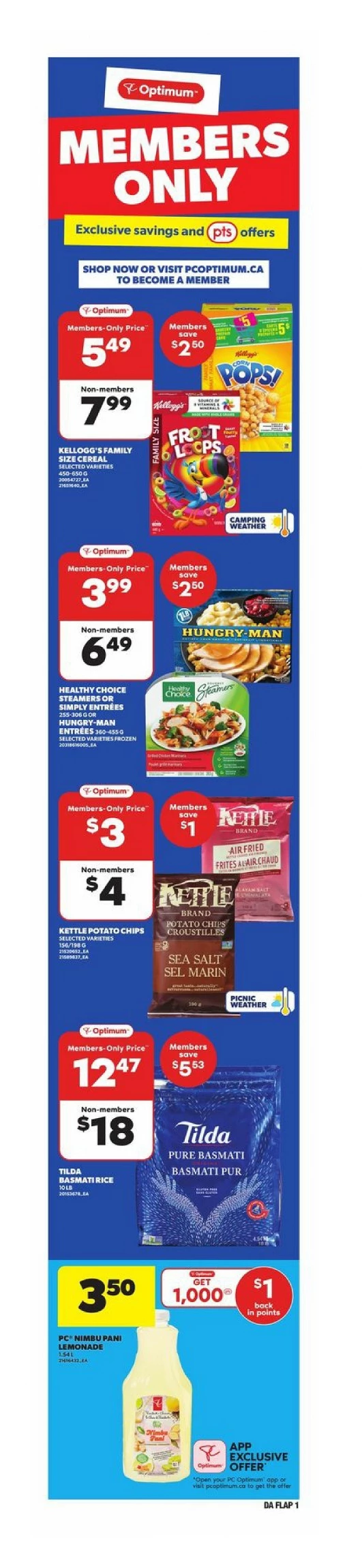 dominion flyer