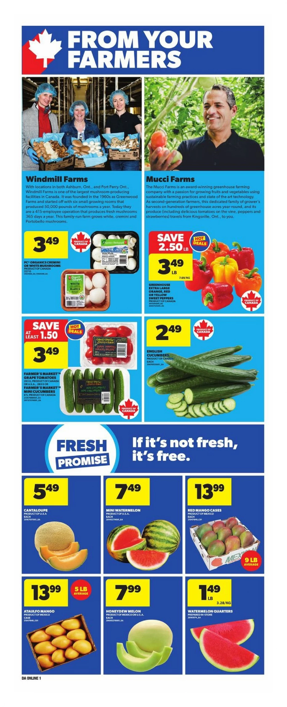 dominion flyer june 5 11 8