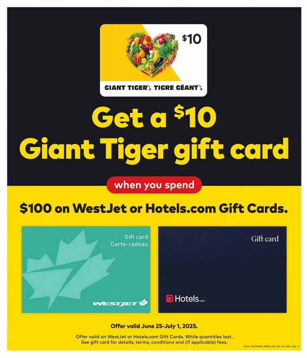 giant tiger flyer ont june 25 july 1 14