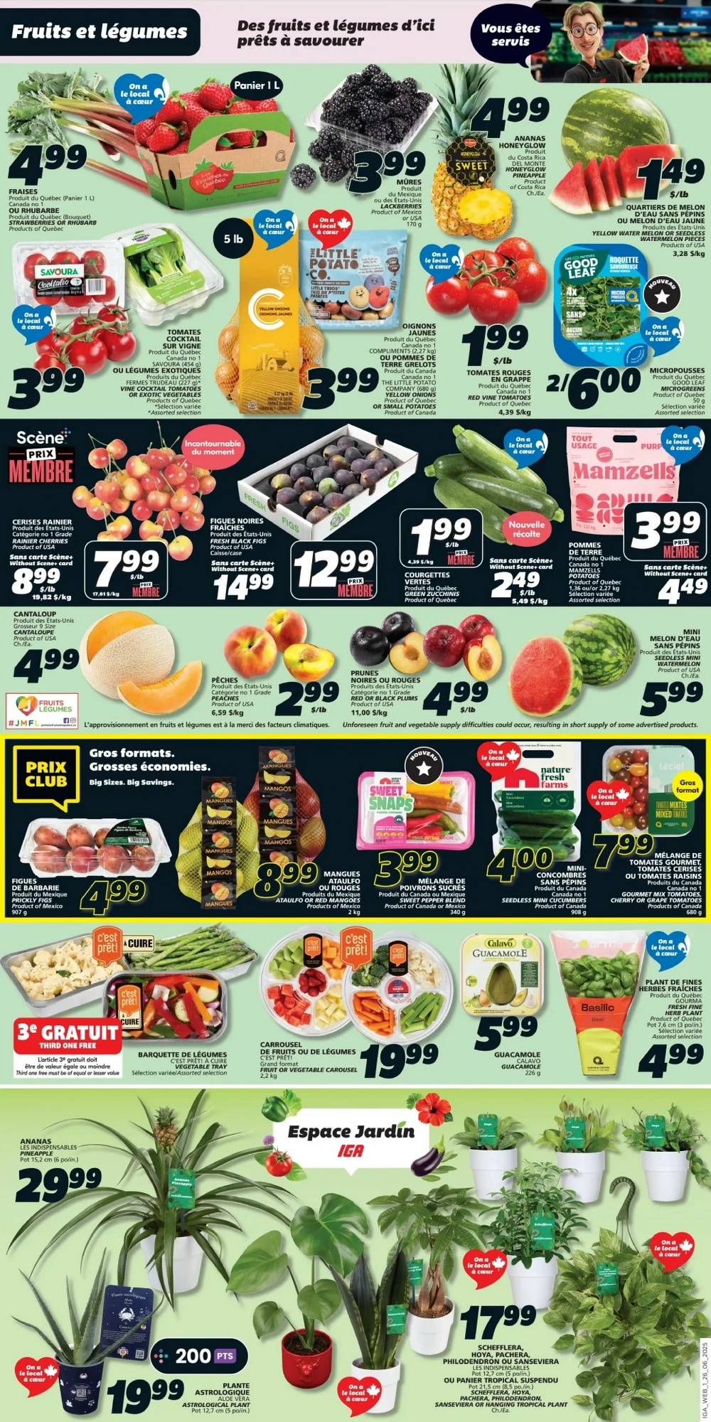 iga flyer june 26 july 2 3