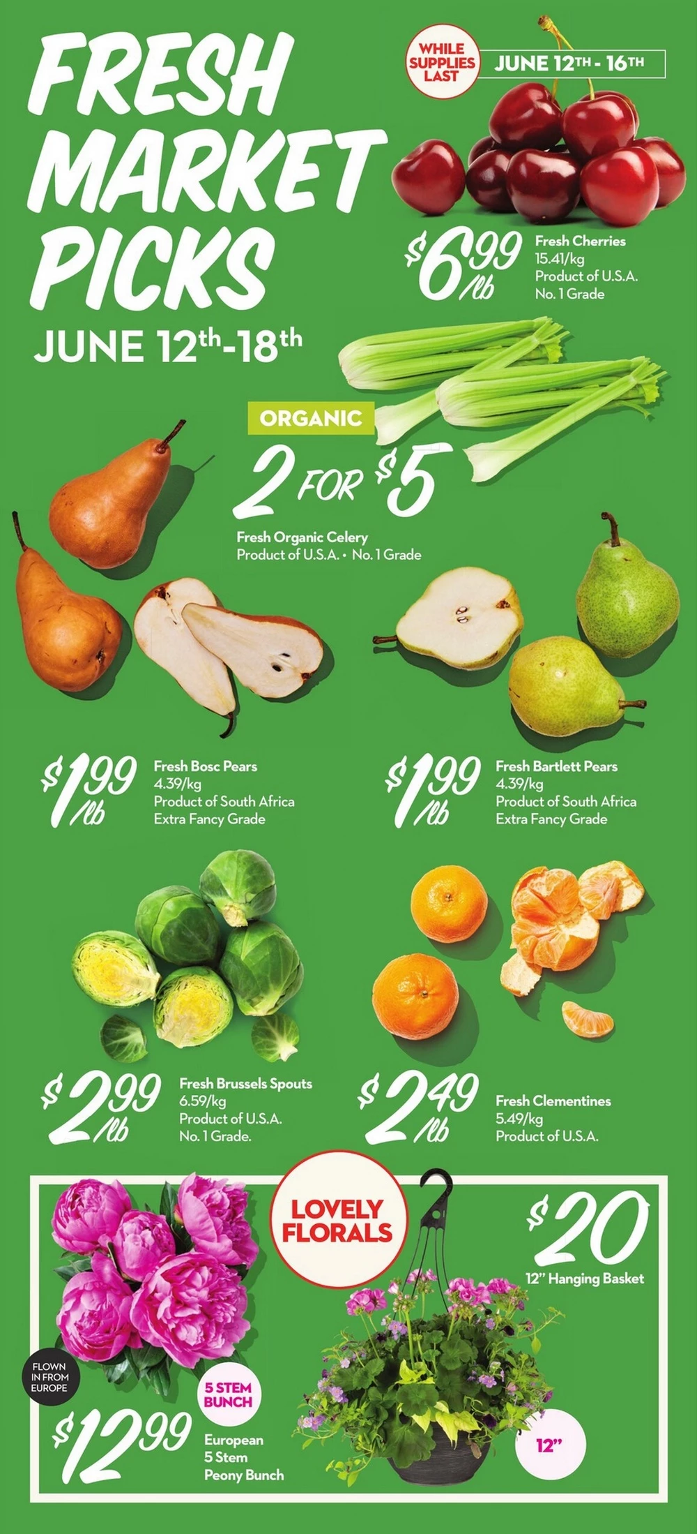 longos flyer june 12 18 4