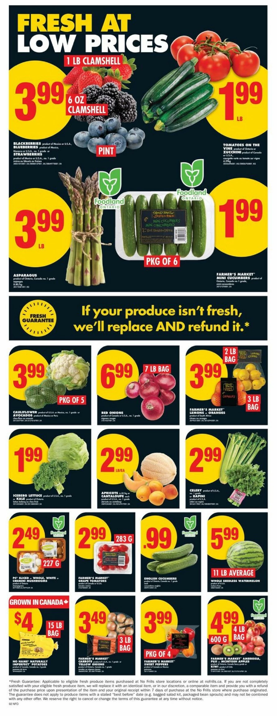 no frills flyer ont jne 19 25 4