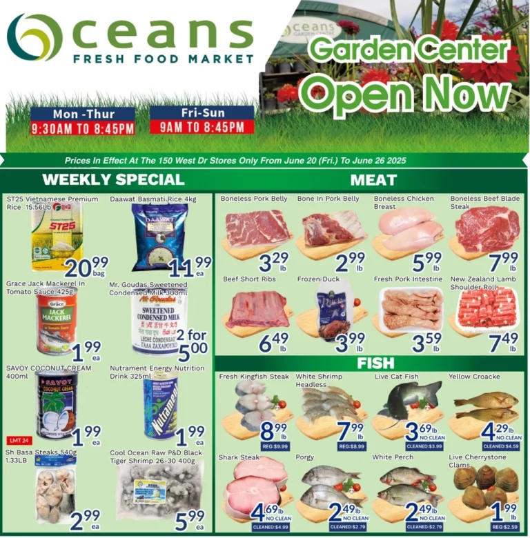 oceans flyer