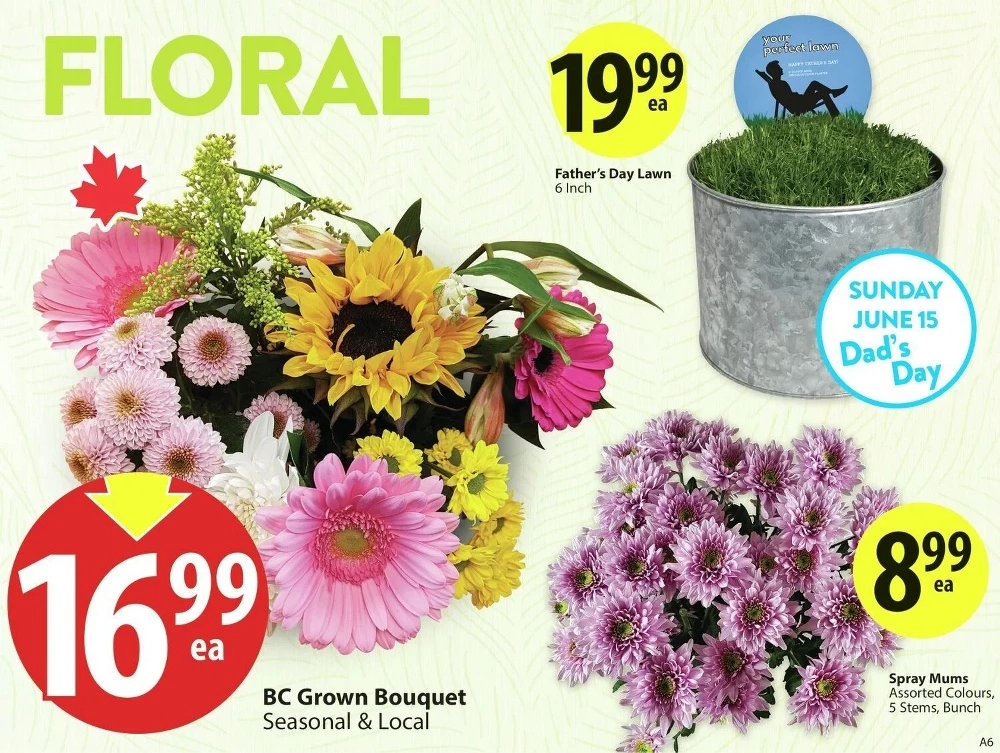 save on foods flyer june 12 18 5