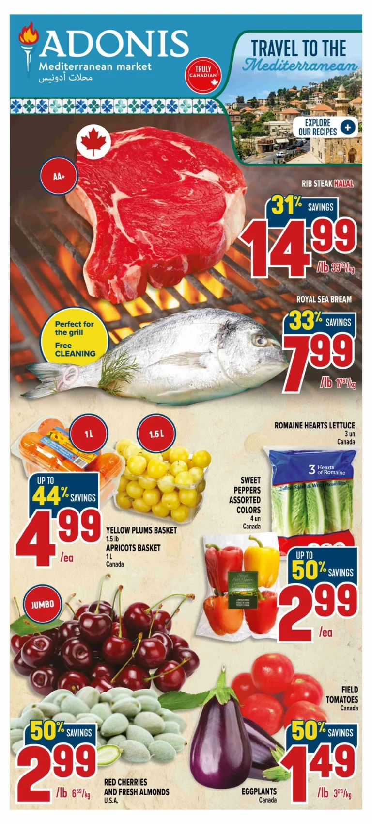 adonis flyer