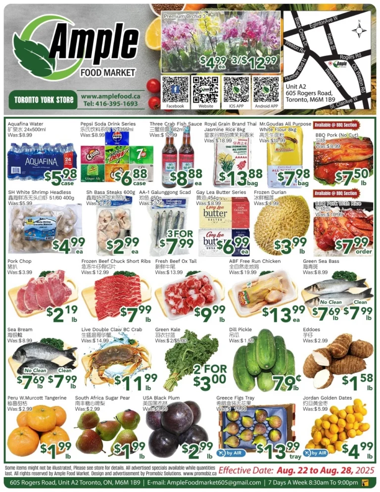 ample food market flyer