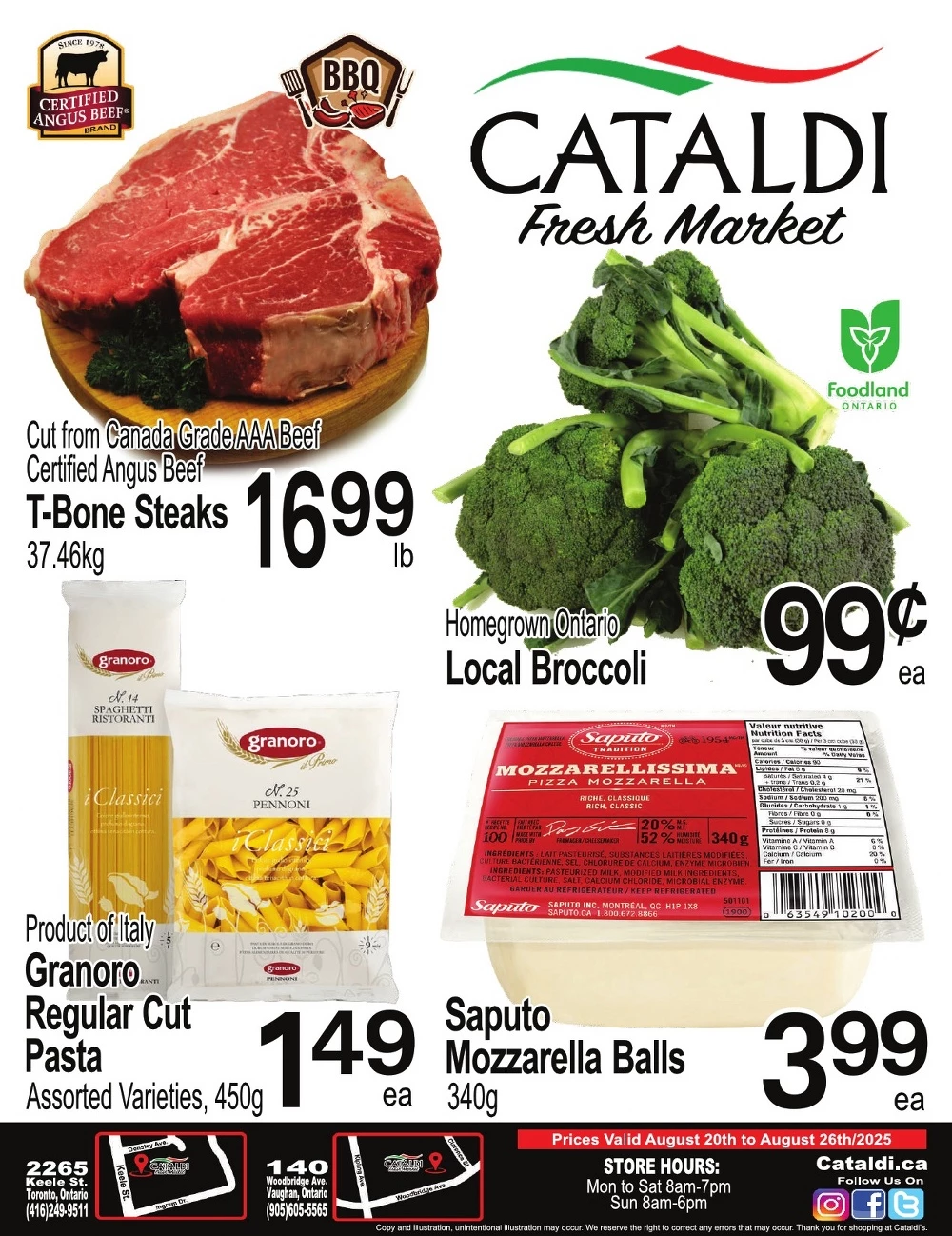 cataldi flyer
