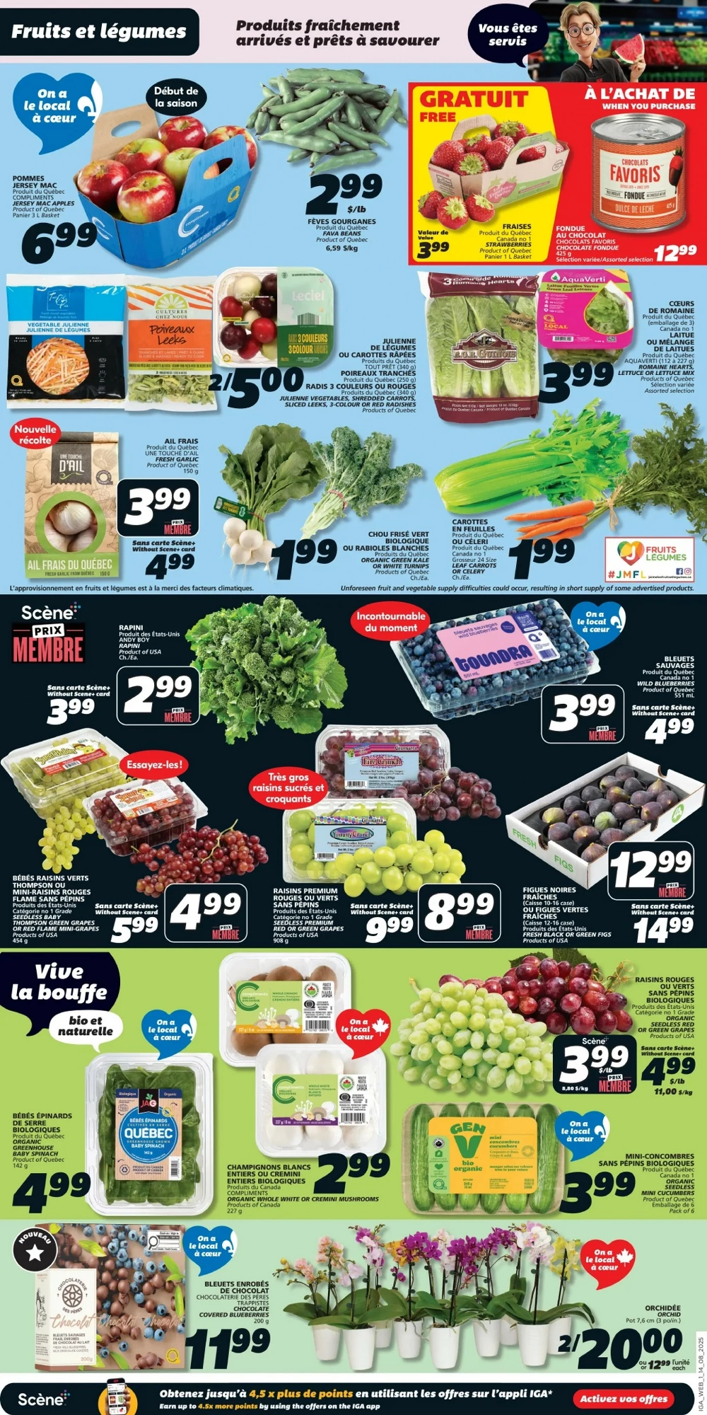 iga flyer august 14 20 circulaire 3