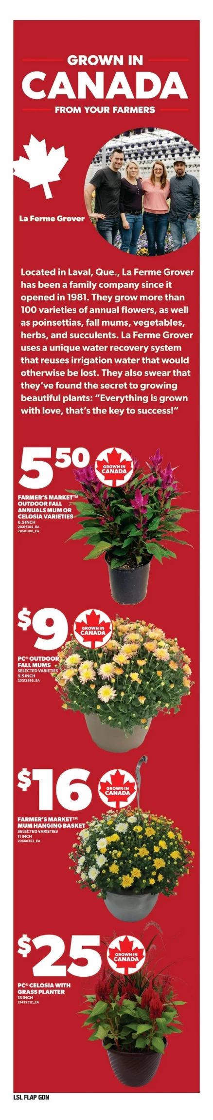loblaws flyer august 21 27 10