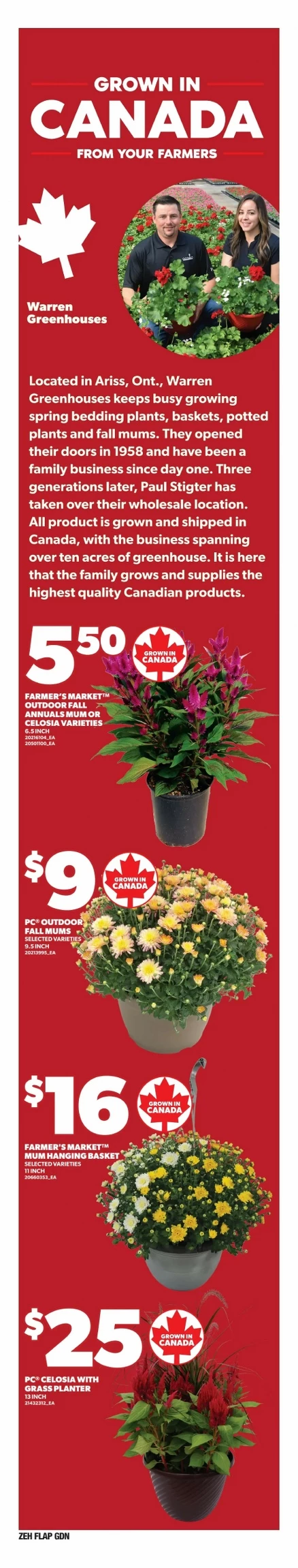 zehrs flyer august 21 27 10