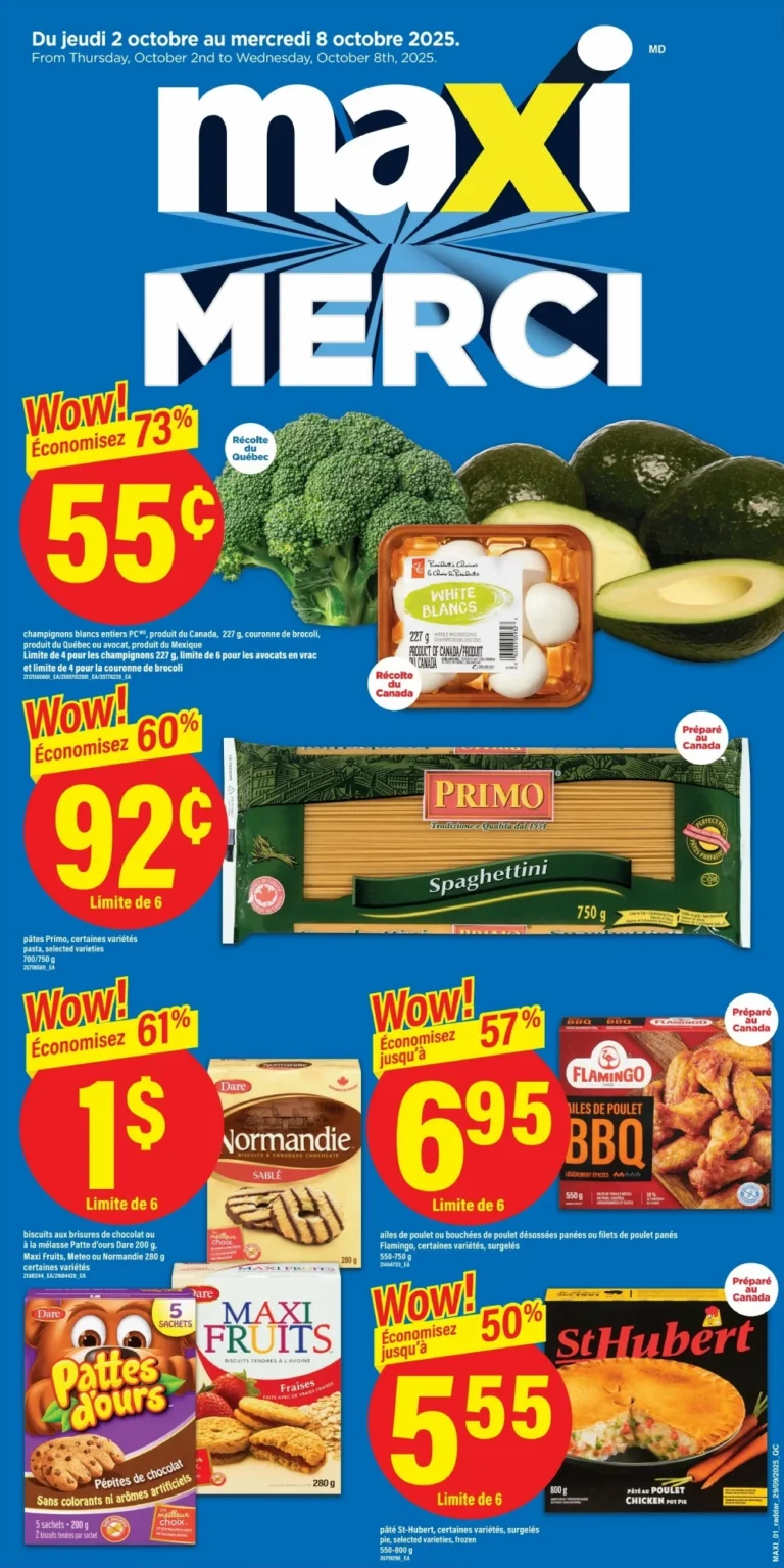 maxi flyer, maxi circulaire