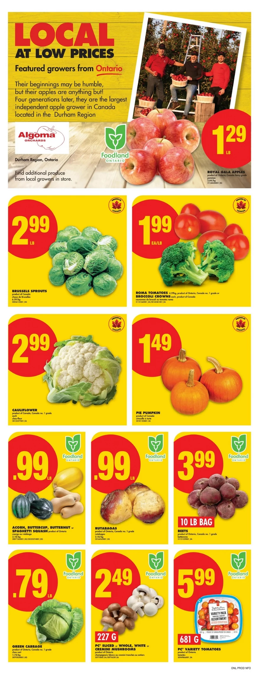 no frills flyer ont september 25 october 1 4