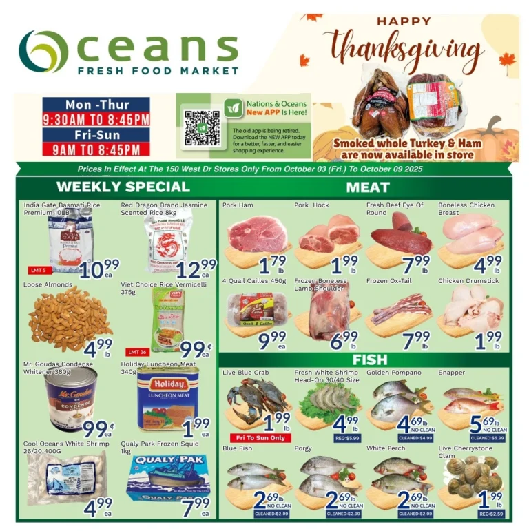 oceans flyer