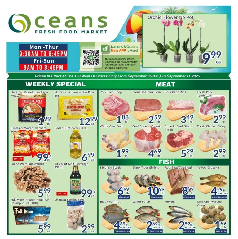oceans flyer