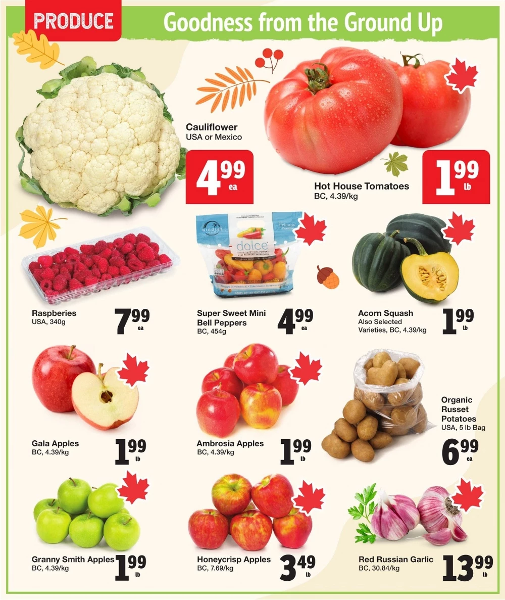 quality foods flyer october 2 8 2