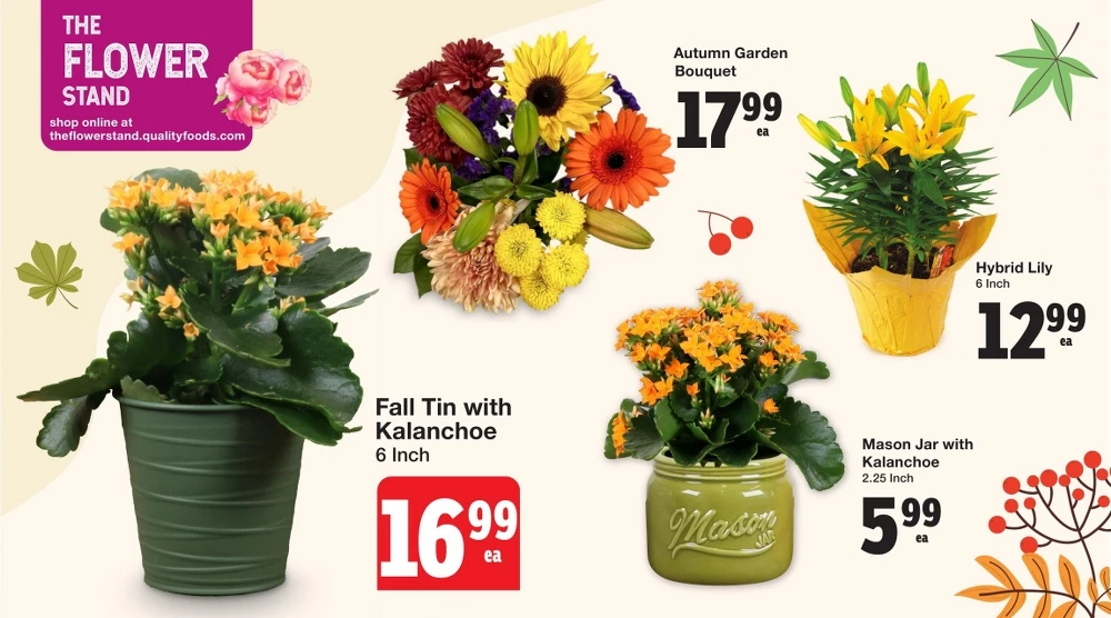 quality foods flyer october 2 8 3