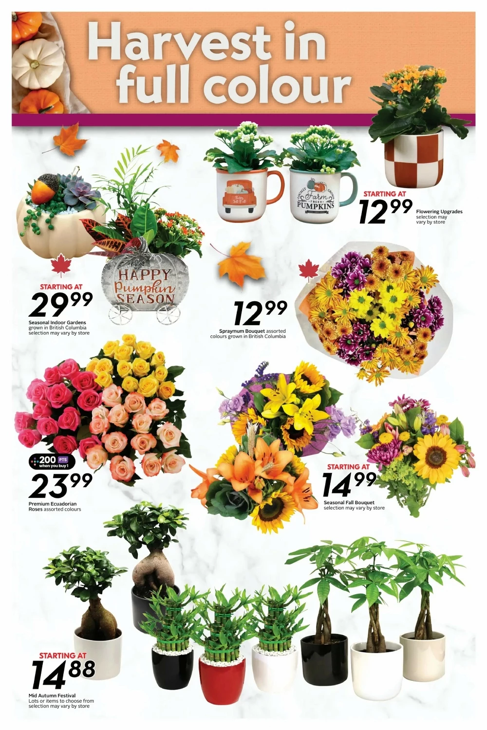 safeway sobeys flyer west october 2 8 22 3535
