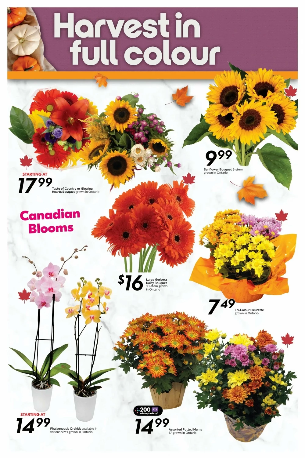sobeys flyer atlantic october 2 8 22 3083