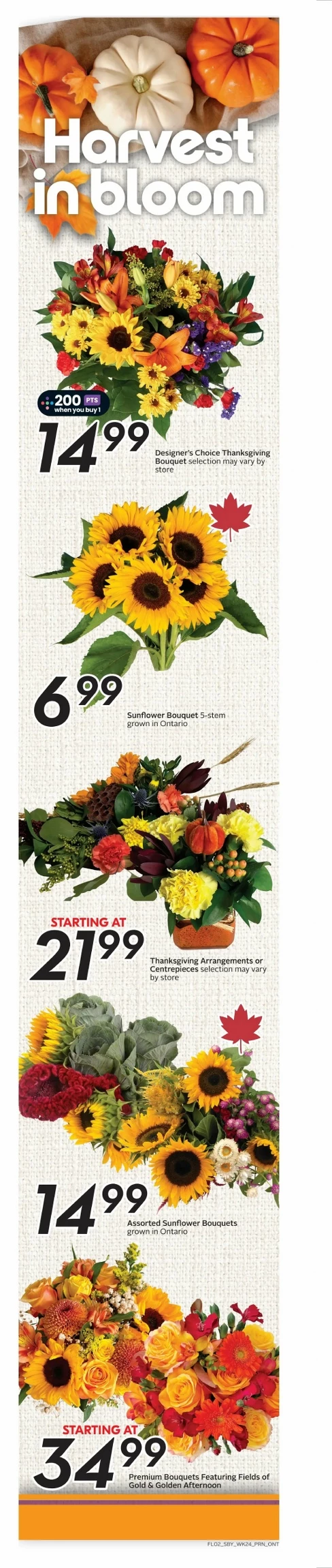 sobeys flyer ont october 9 15 3 04848363