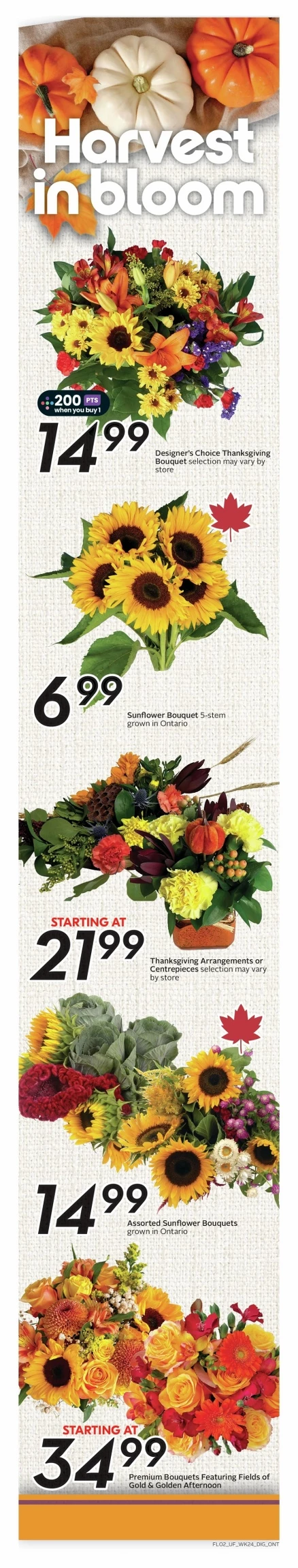 sobeys urban fresh flyer october 9 15 3