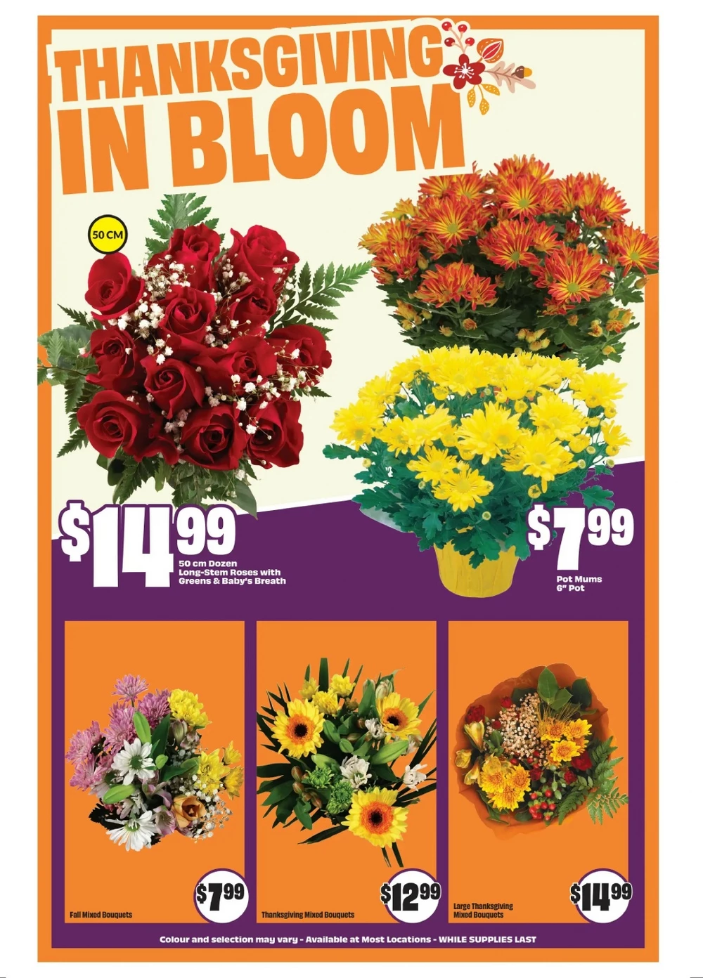 freshco flyer october 9 15 6 29210274