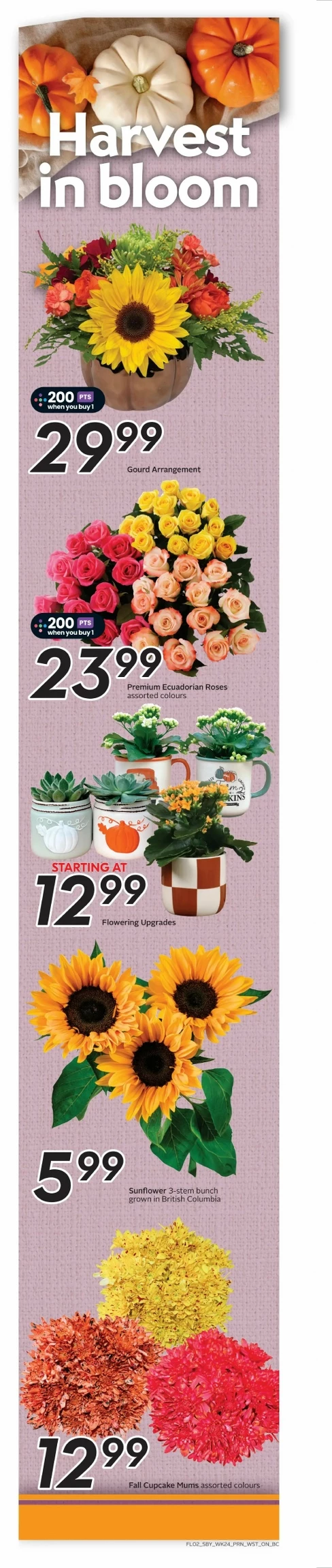 safeway flyer bc on october 9 15 3 09375032