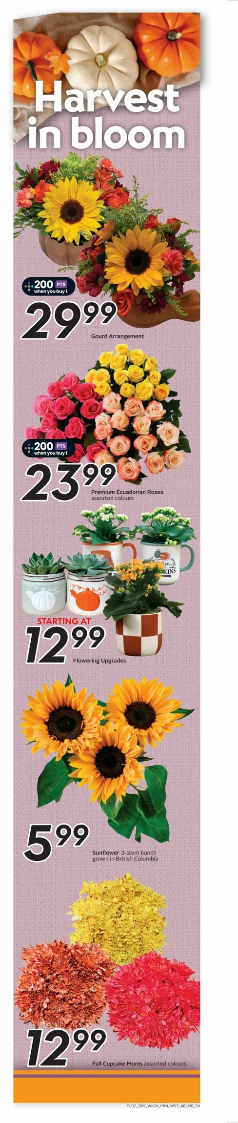 safeway sobeys flyer west october 9 15 3 09529656