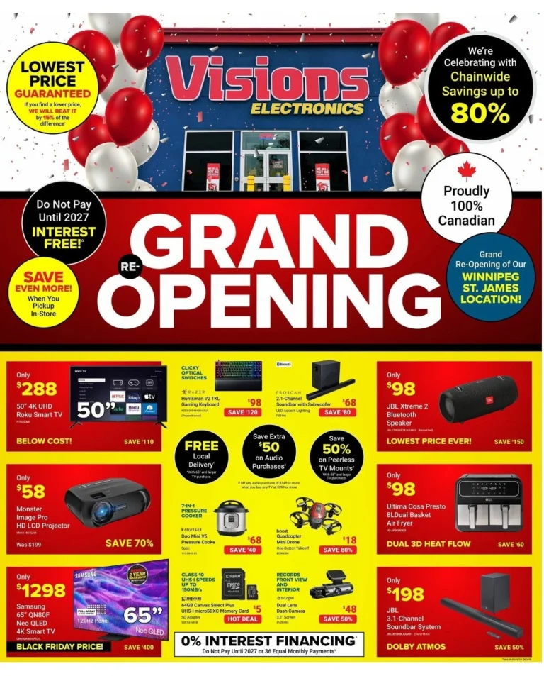visions electronics flyer