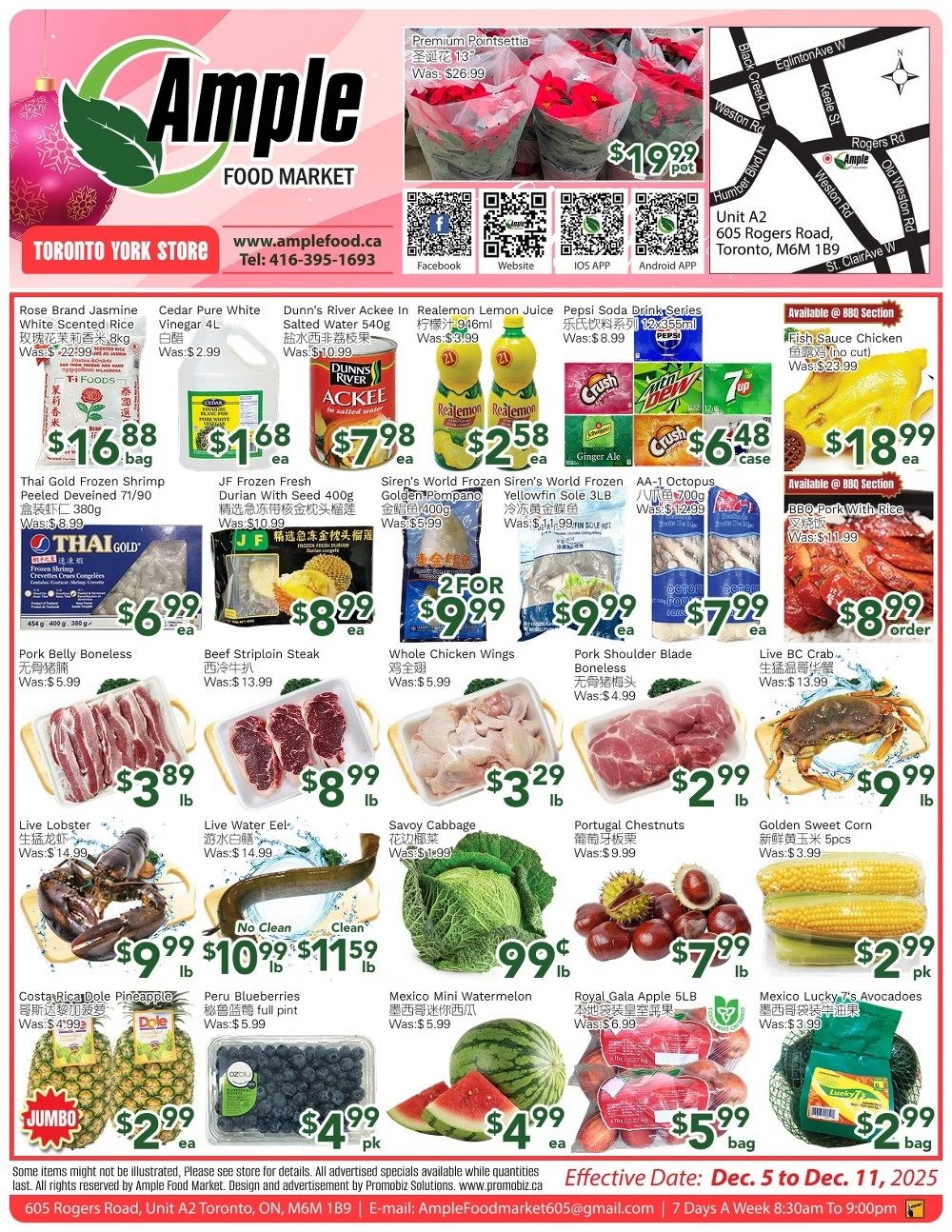 ample food market flyer 