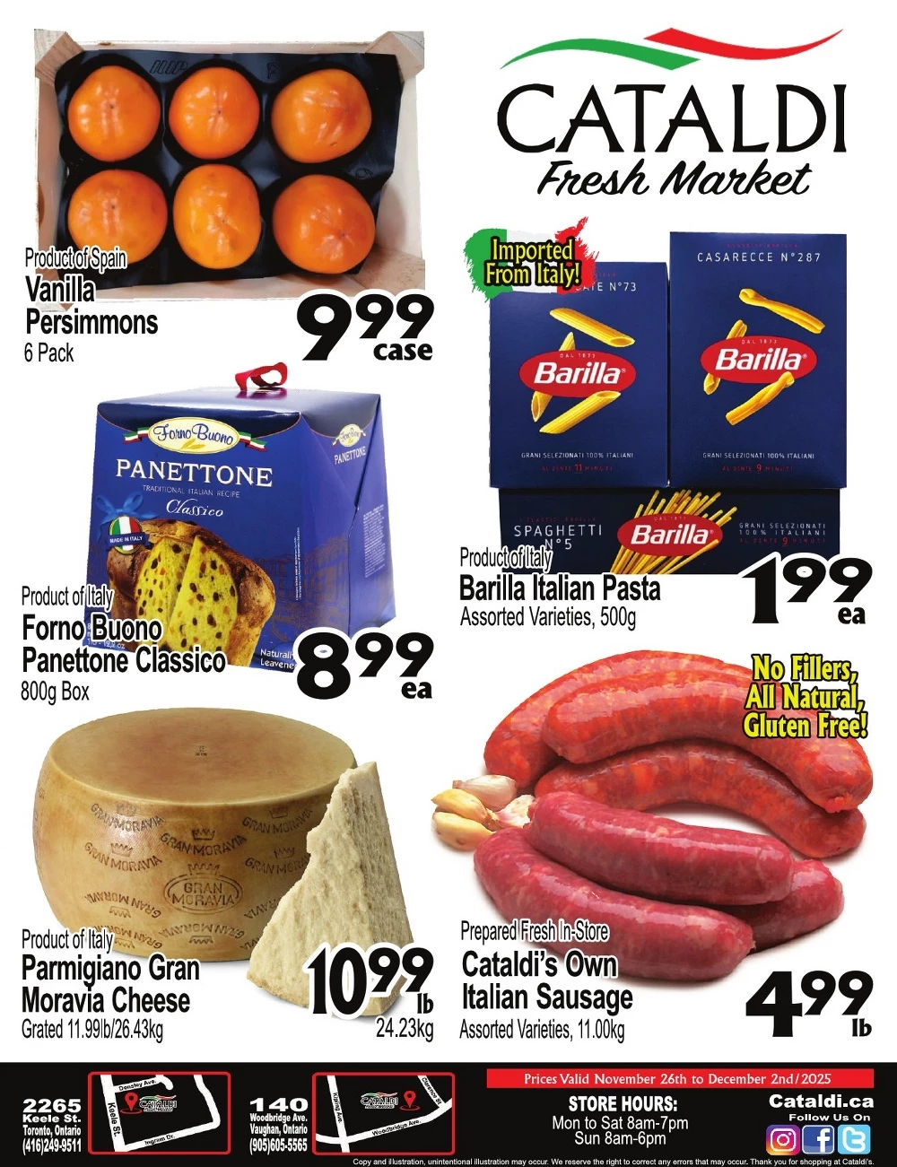 cataldi flyer 