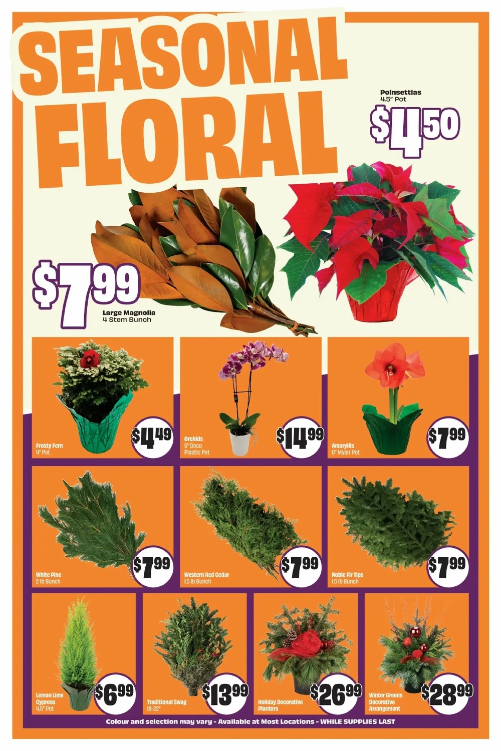 chalo freshco flyer november 20 26 5 16891615