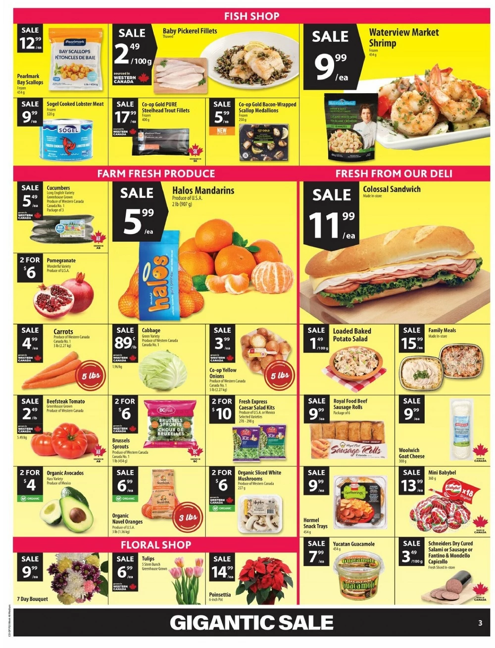 co op flyer november 20 26 5