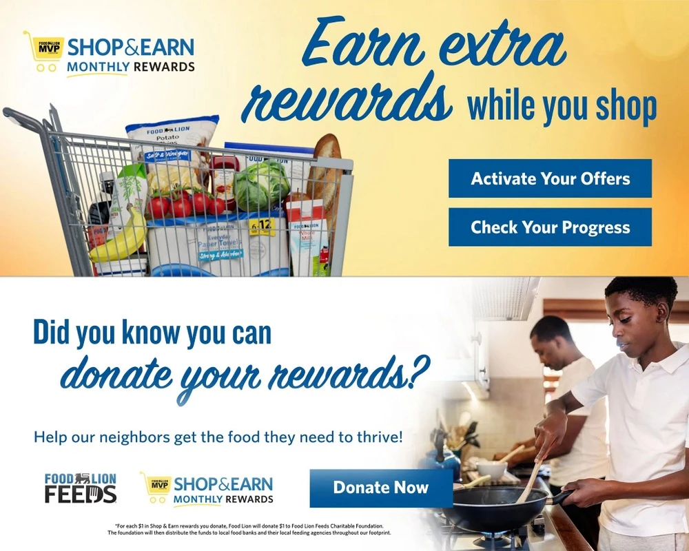 foodlion weekly ad november 28 december 2 4