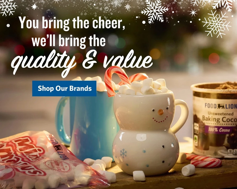 foodlion weekly ad november 28 december 2 8