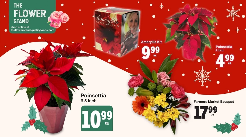 quality foods flyer november 13 19 5