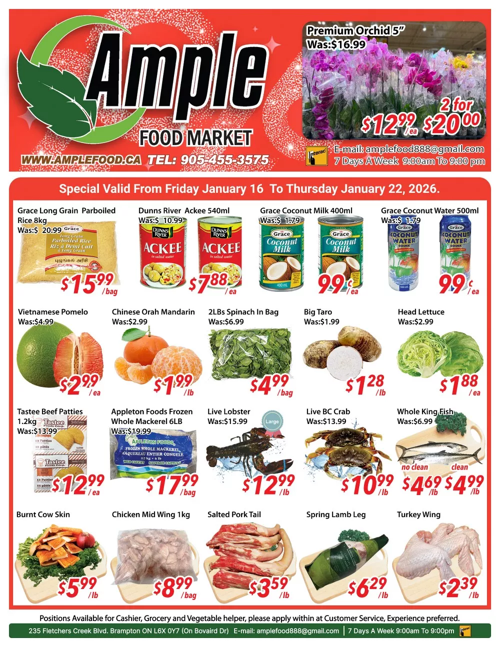 ample food market flyer january 16 22 5