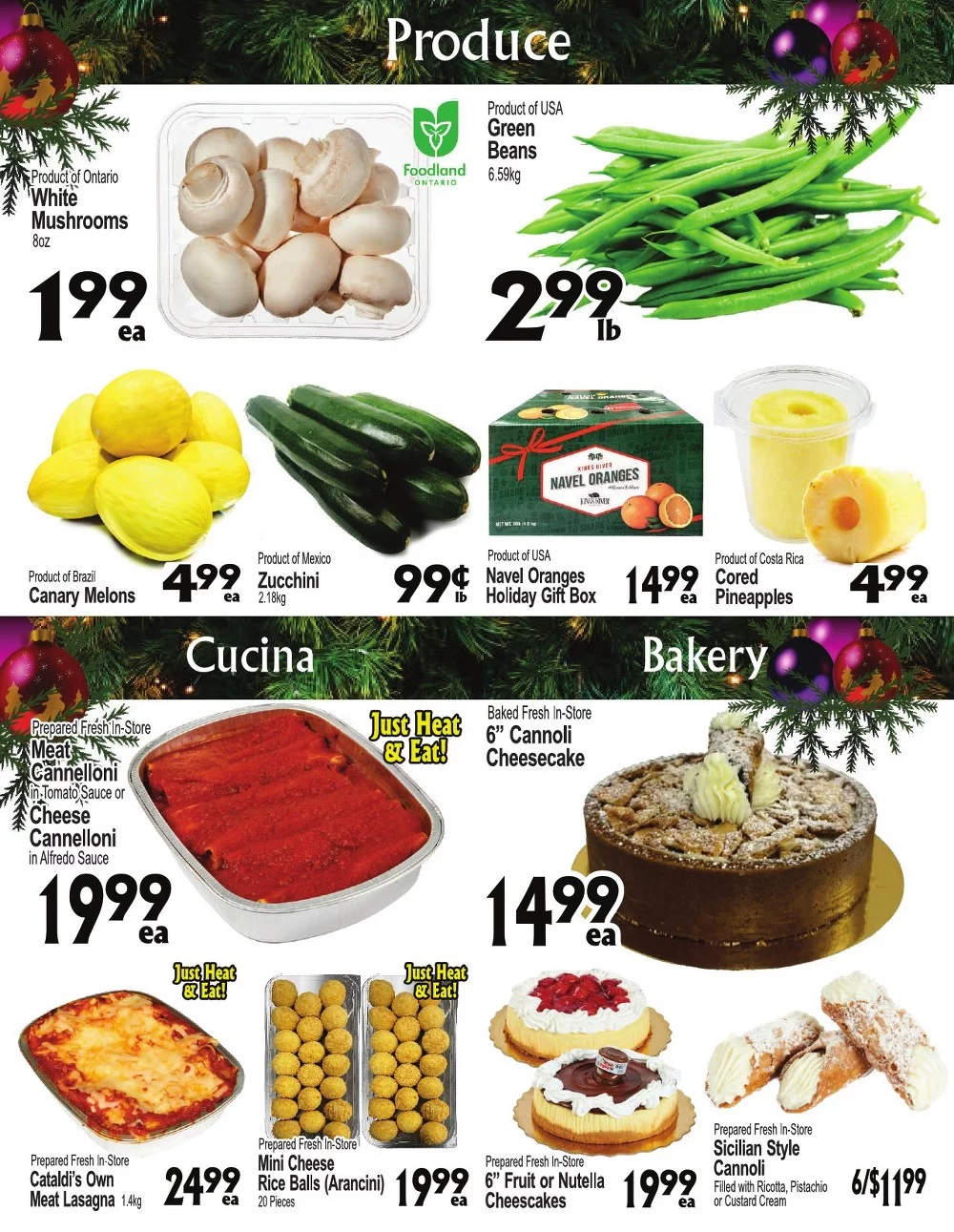 cataldi flyer december 17 23 3