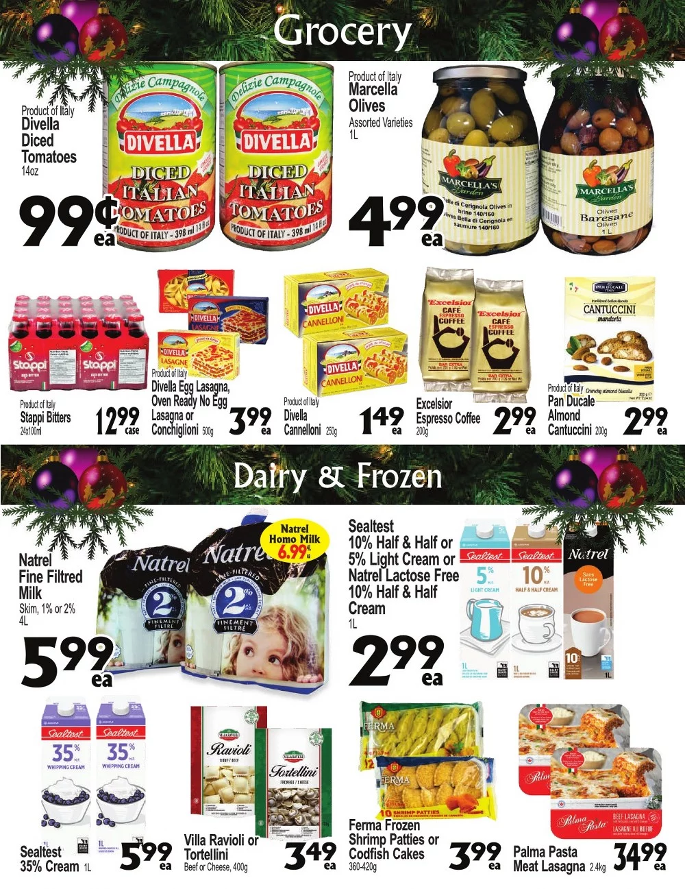 cataldi flyer december 17 23 4