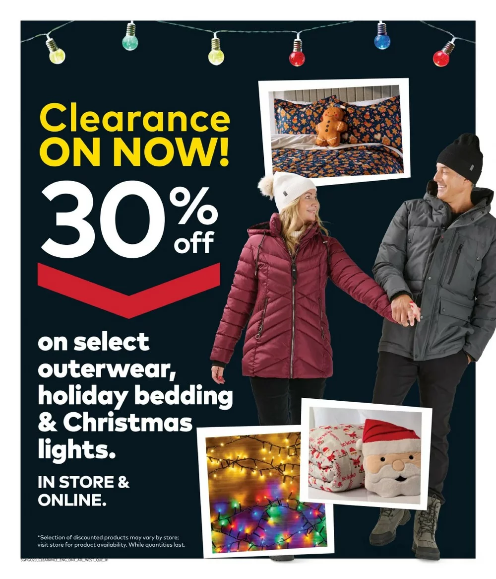 giant tiger flyer ont december 17 24 6 58740691