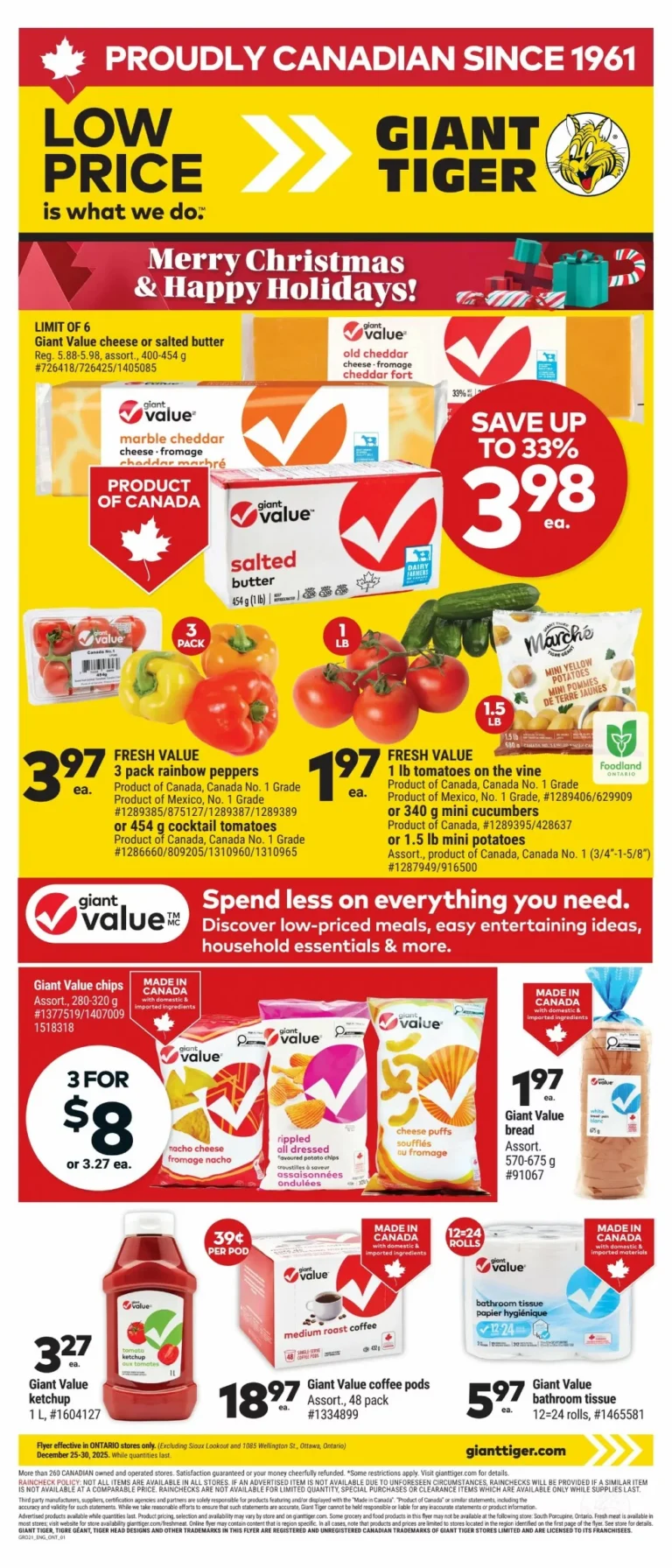 giant tiger flyer ont. week 52