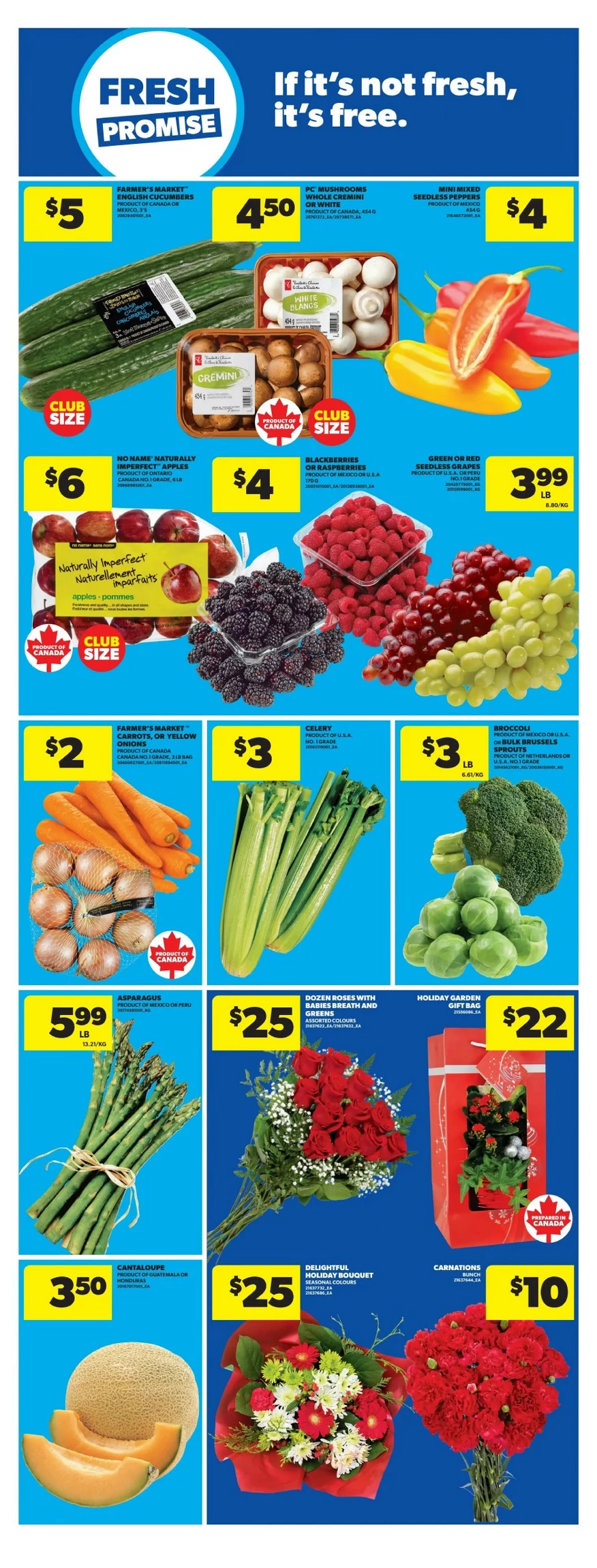 real canadian flyer ont december 11 17 16 63464568